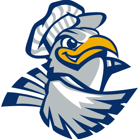 Chattanooga Mocs 2001-2007 Alternate Logo diy iron on heat transfer